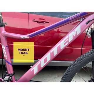 Totem discount bike pink