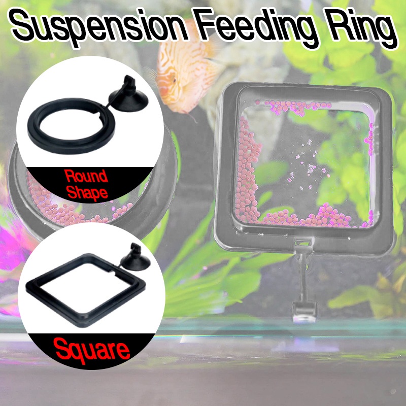 [Spot]Aquarium Fish Tank FixedPoint Suspension Feeding Ring Goldfish