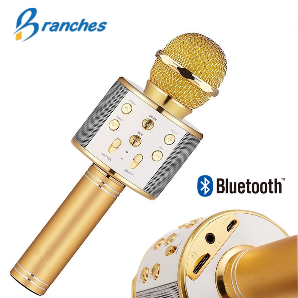 Mic WS858 Genuine Wireless Microphone Speaker Mic Wireless Karaoke