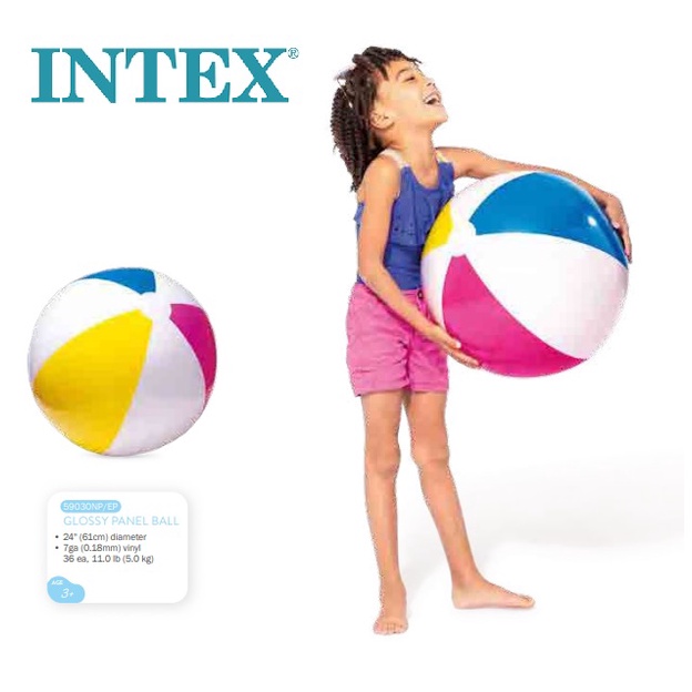 12 Panel Beach Ball / 9 inch inflated