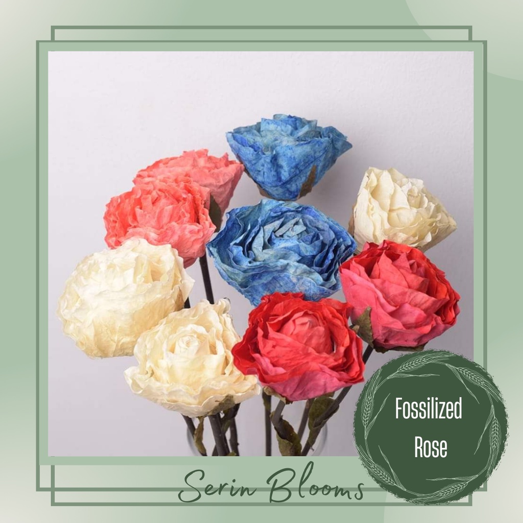 Shop flowers dried for Sale on Shopee Philippines