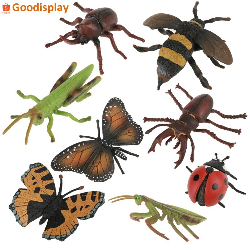 Various display toys, miniature animals, insects, insect animal figures ...