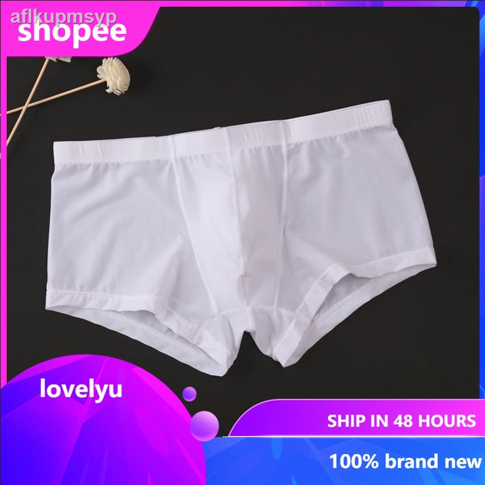 Mens See Through Underwear Sexy Mesh | Shopee Philippines