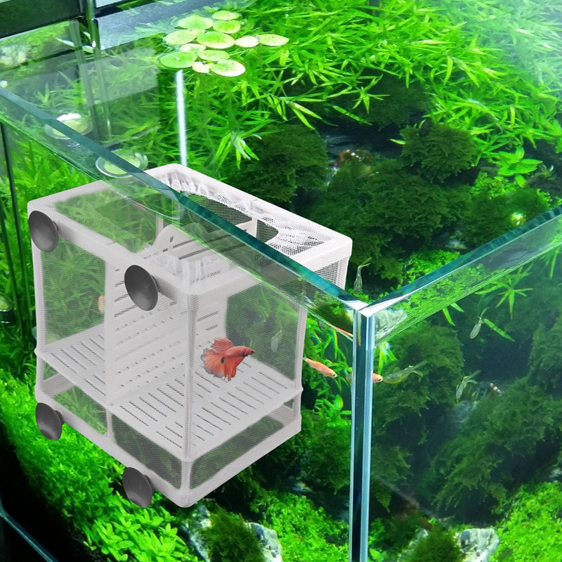 Fish Nursery for AquariumFish Breeding Net Hang on Breeder Box