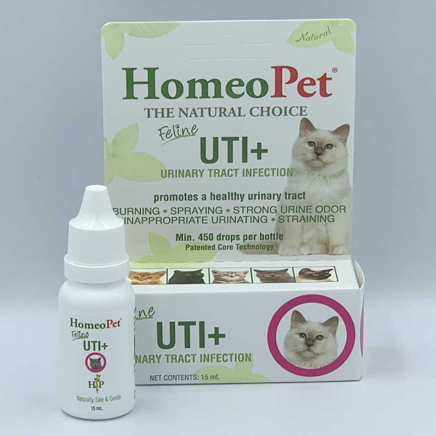 Stunning Cat Uti Urinary Tract Care For Cats image