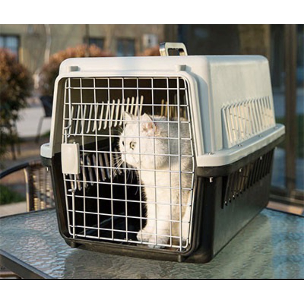 Shopee cat cheap carrier