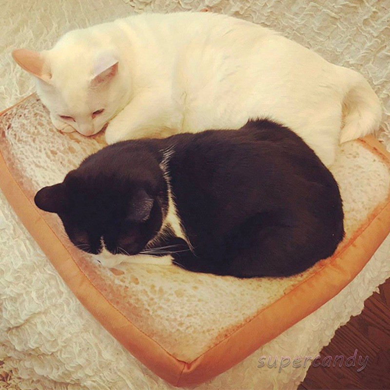 Bread Cats Bed Toast Bread Slice Style Pet Mats Cushion Soft Warm Mattress Bed for Cats Dogs Shopee Philippines