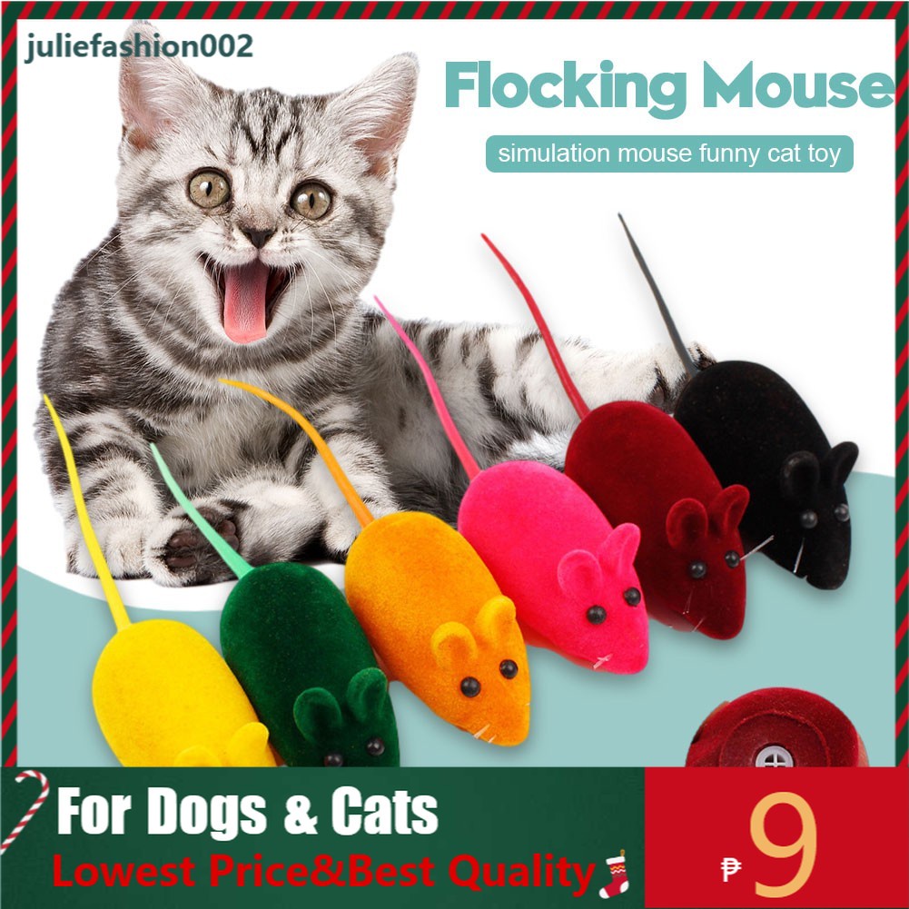 Cat shop toys shopee