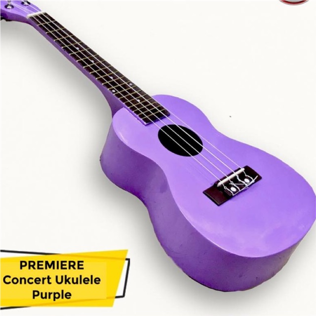 Ukulele shoppe shop