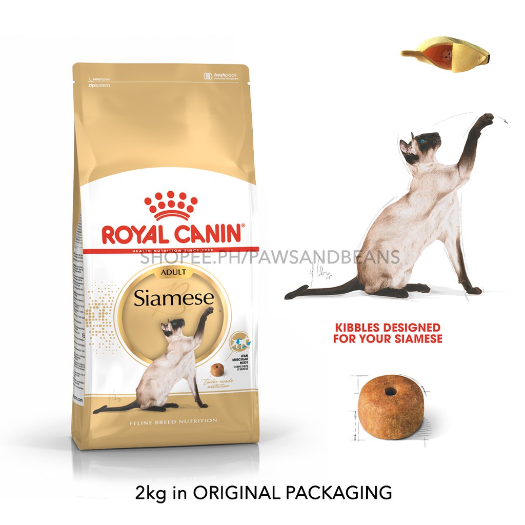 Best dry food for siamese cats best sale