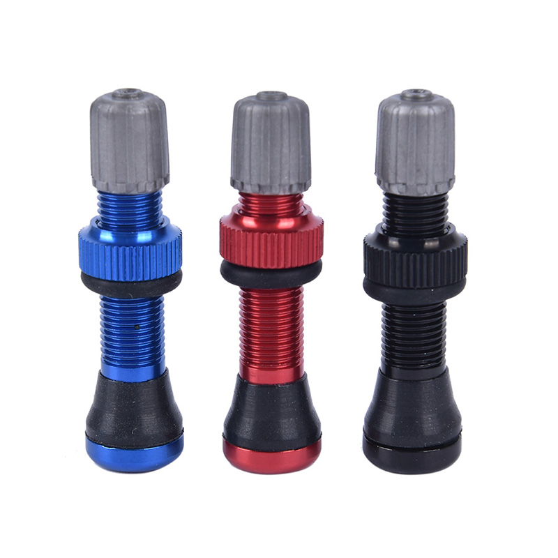 Schrader tubeless valve deals