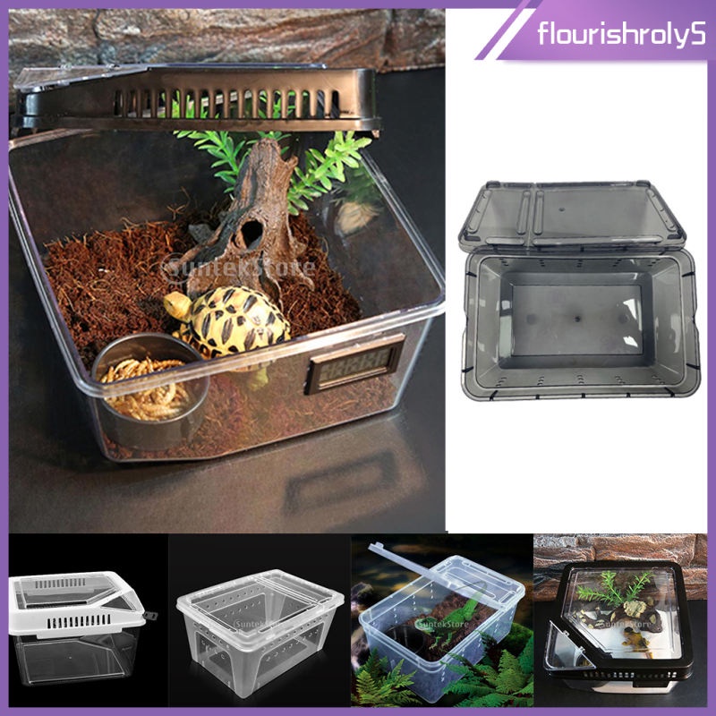 Habitat Cage Hatching Container for Scorpion Frog | Shopee Philippines