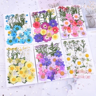 35 Pieces 42 Kinds Real Dried Pressed Flowers Dried Press Leaves Candle  Making Real Dried Flowers Pressed Leaves For Epoxy Resin Jewelry Making Diy