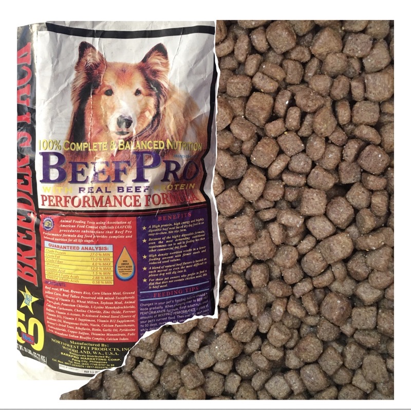 Beef pro puppy food sale