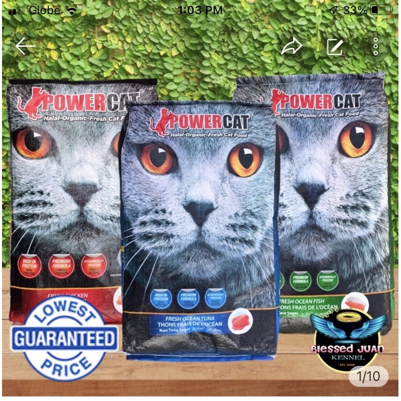 POWER CAT CATFOOD 1 KILO Shopee Philippines