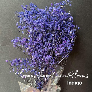 Shop baby's breath for Sale on Shopee Philippines