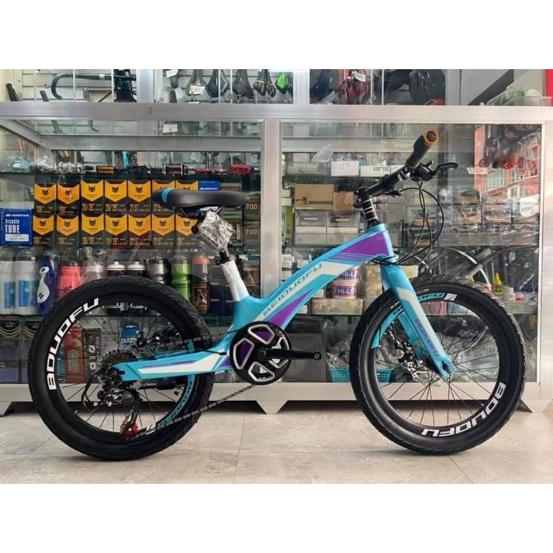 20ER BEIDUOFU ALLOY MINI MOUNTAIN BIKE | Shopee Philippines