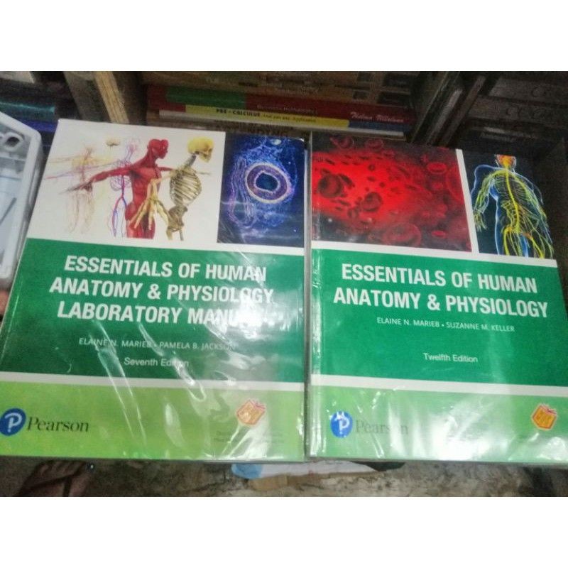 Essentials Of Human Anatomy & Physiology 12th Edition Marieb Manual ...