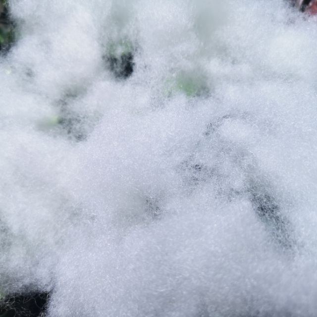 Fiberfill Cotton for Pillow Premium Quality per Kilo Shopee Philippines