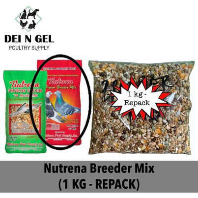 Nutrena Flyer Mix or Nutrena Breeder Mix - food for Pigeon (1 KG ...