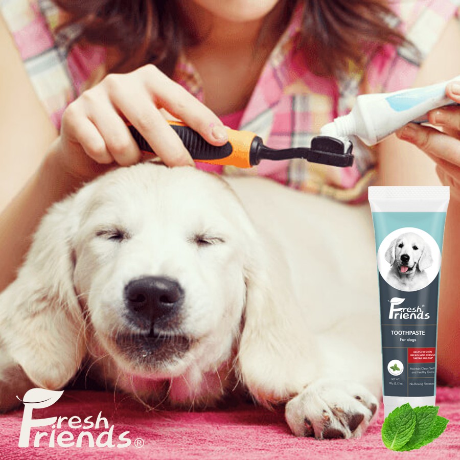 Fresh Friends Purry Dog Toothpaste Mint Flavor with Bioline Natural ...
