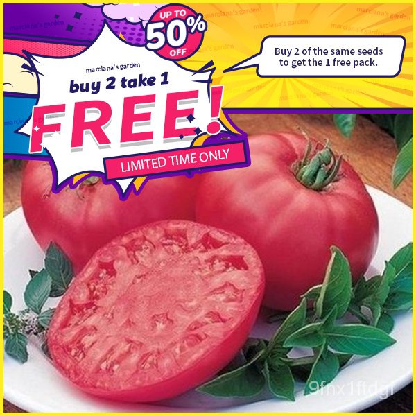 ปลูกง่าย เมล็ดนำเข้า ถูกที่สุดParks Whopper Large Tomato Seeds