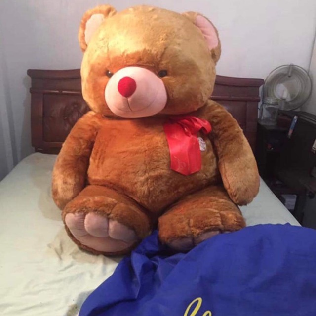 Human size teddy on sale bear blue magic