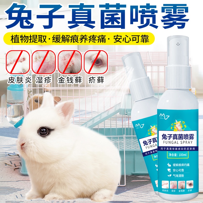 Rabbit fungus infection spray for eliminating rabbit tinea skin disease ...