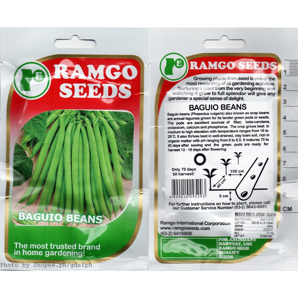 Ramgo RPO Seeds Baguio Bean, Lima Bean, Soybean, Winged Bean 15g