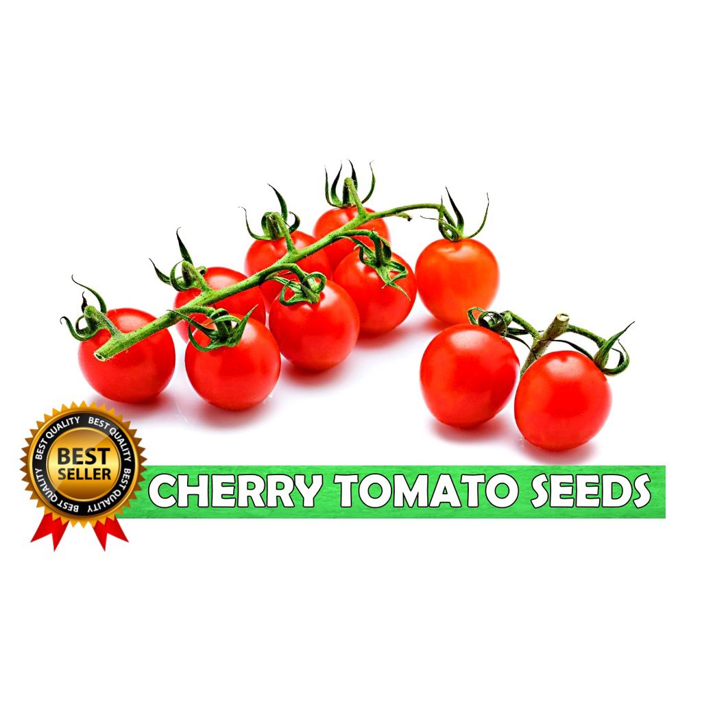 sweet-million-cherry-tomato-plant-growjoy