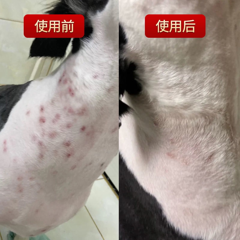 [Not afraid of licking] dog skin disease medicine spray fungus mites