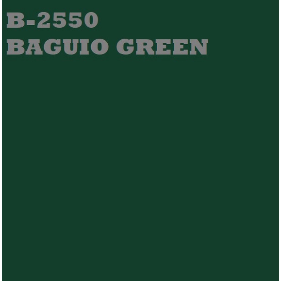 BOYSEN ROOFGUARD BAGUIO GREEN B2550 4 LITERS 1 GALON WATERBASE