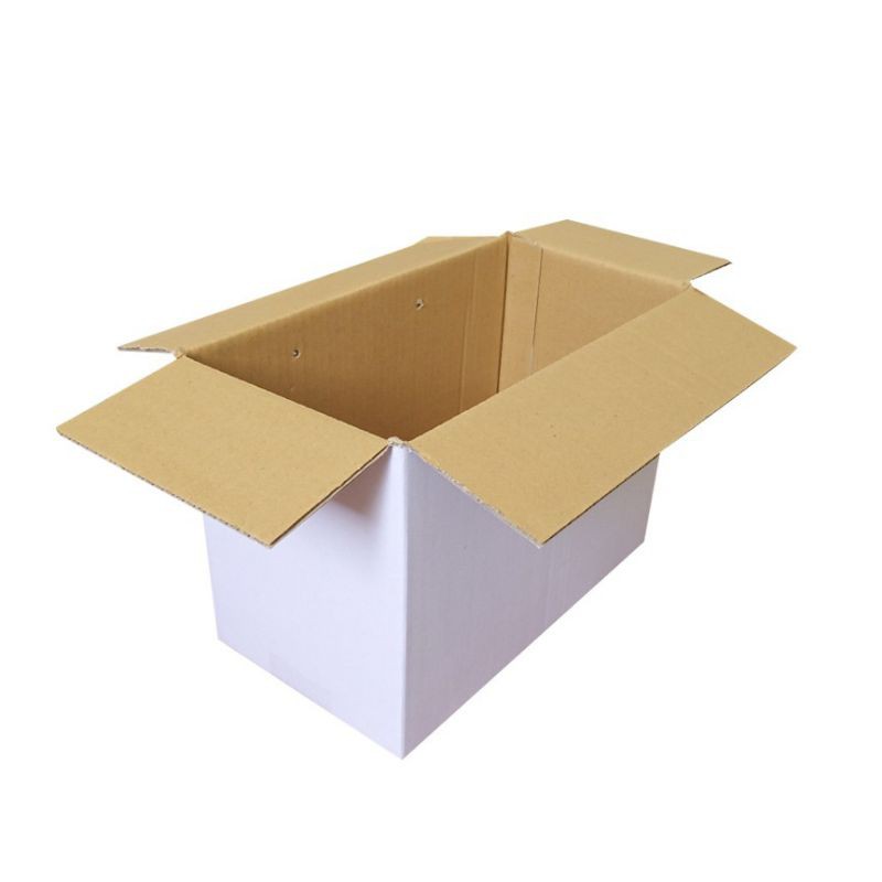 Bottled Drinking Water Cardboard Bottled Water Box | Shopee Philippines