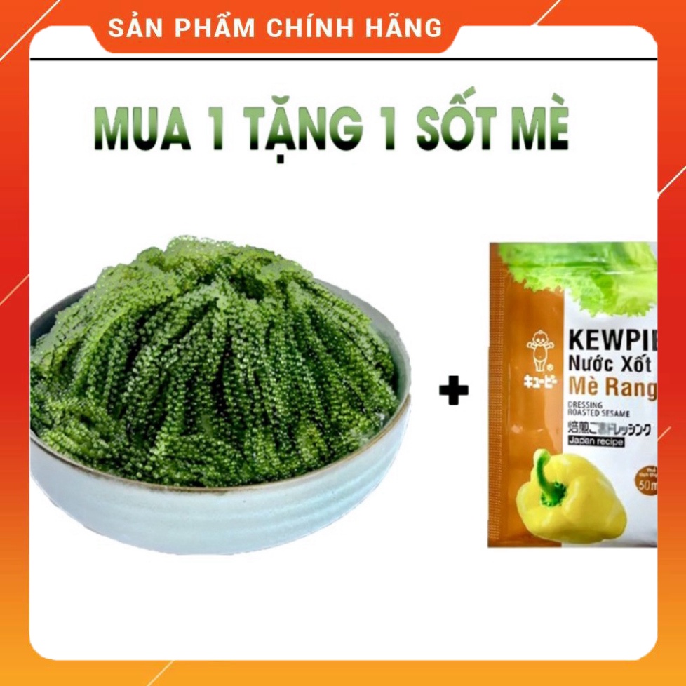 400gr Fresh sea grapes bloom from 100gr Green Food premium dehydrated