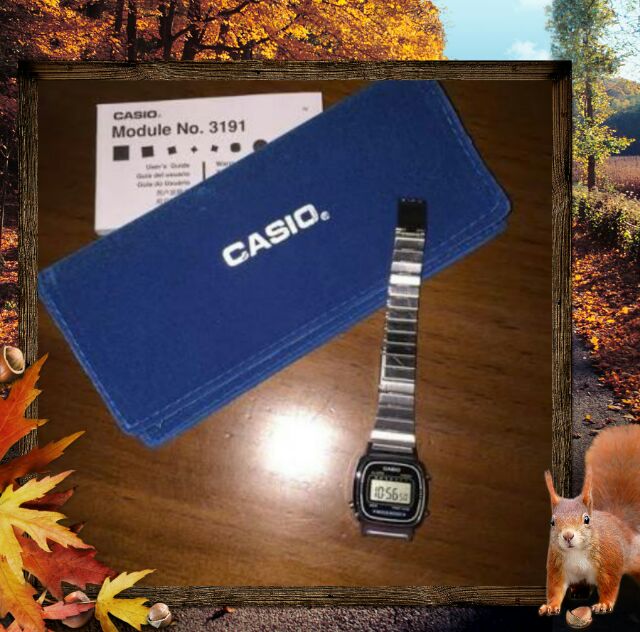 Casio module no 3191 sale
