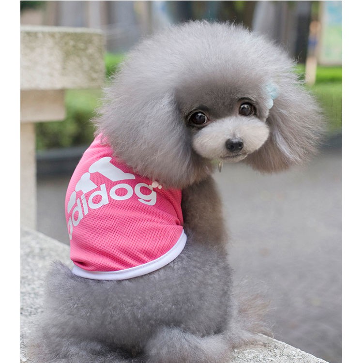 Adidog clothes best sale for dogs