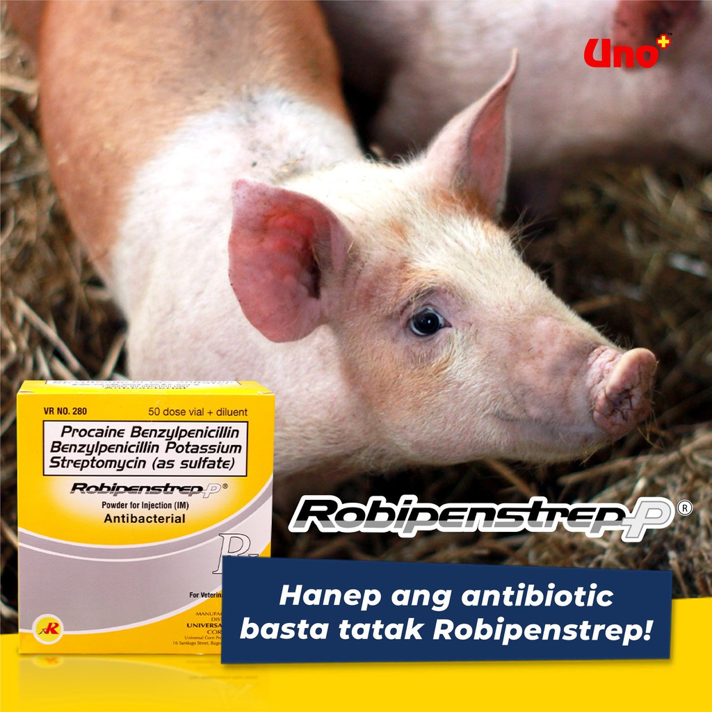 URC RobipenstrepP Antibacterial Powder for Injection (IM) 20ml vial