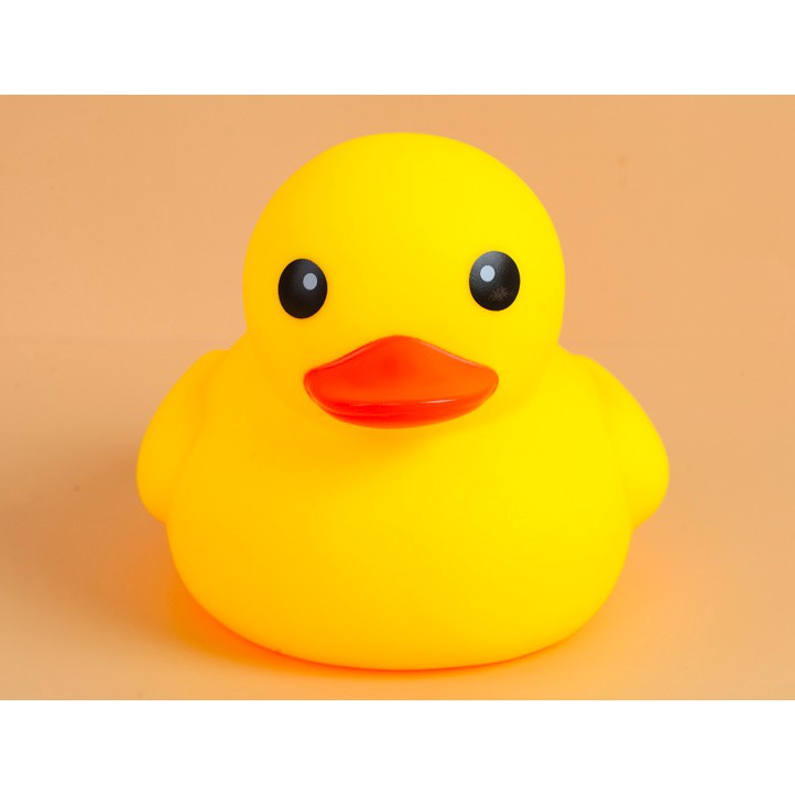 Duck toy hot sale for baby