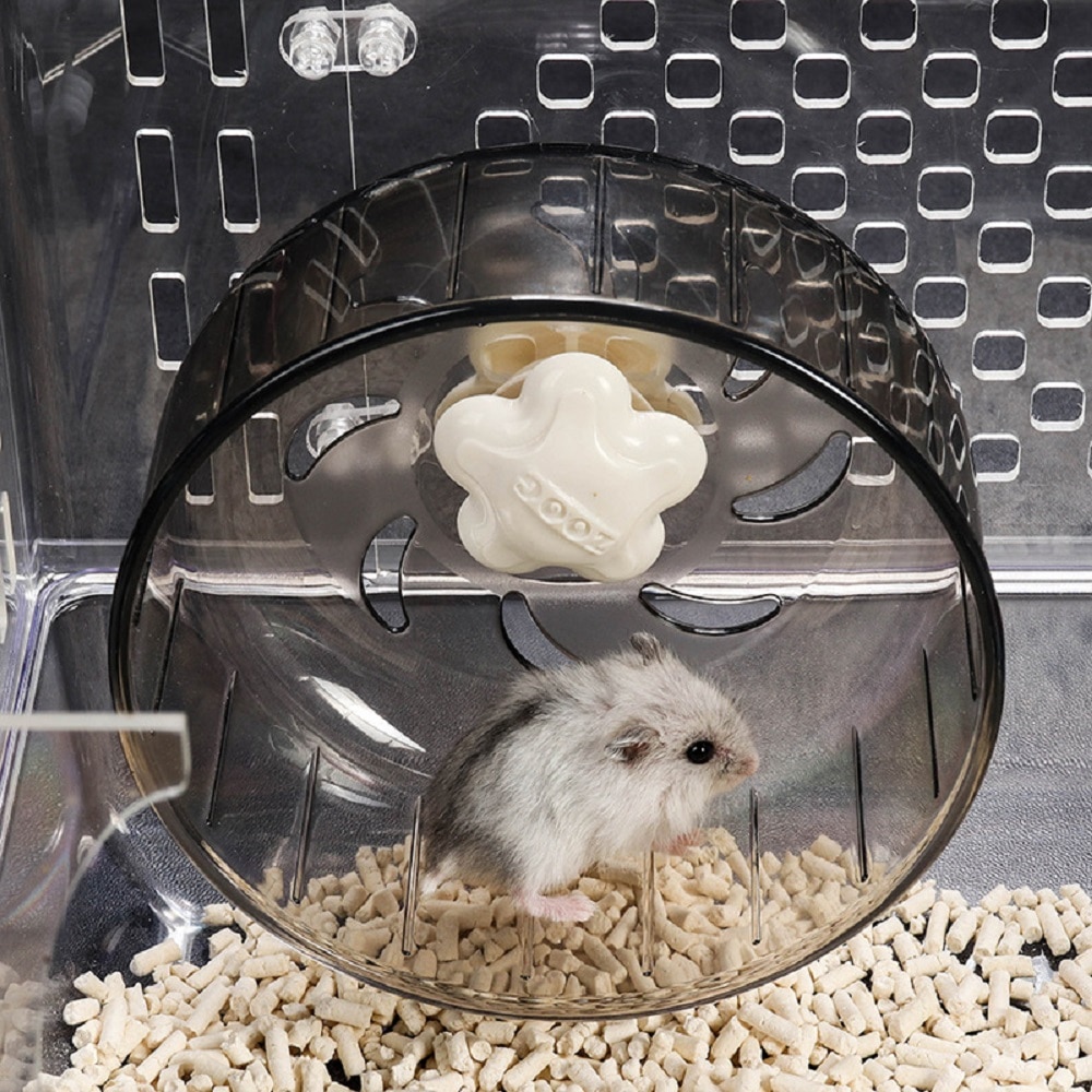 Hamster toy on wheels online