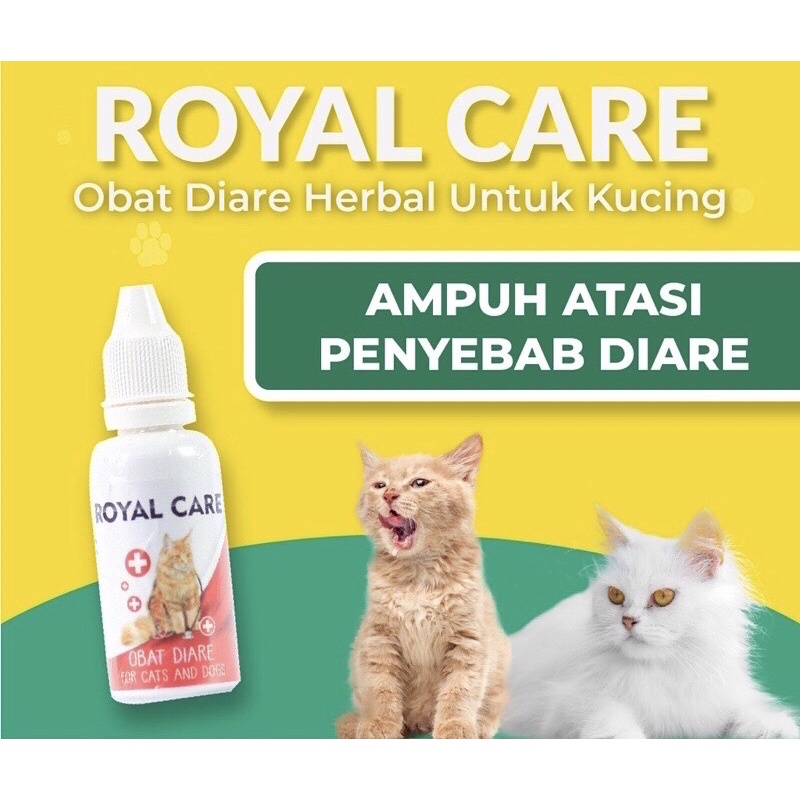 Royal Care Diarrhea Medicine 30ml Shopee Philippines