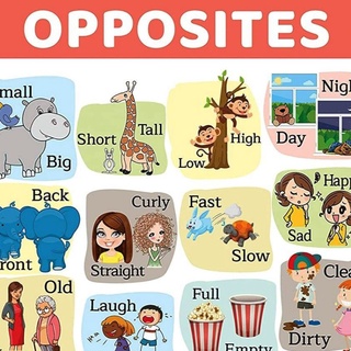 OPPOSITES Chart | A4 Size | Laminated Educational Wall Charts, Chart ...