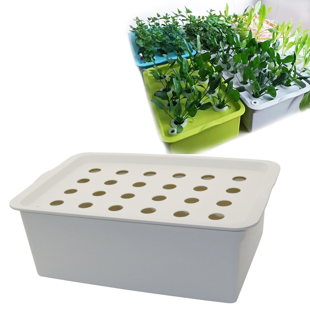 1 Set 6/24 Hole Plant Planting Box Set 220v/110v Planting Seedling ...