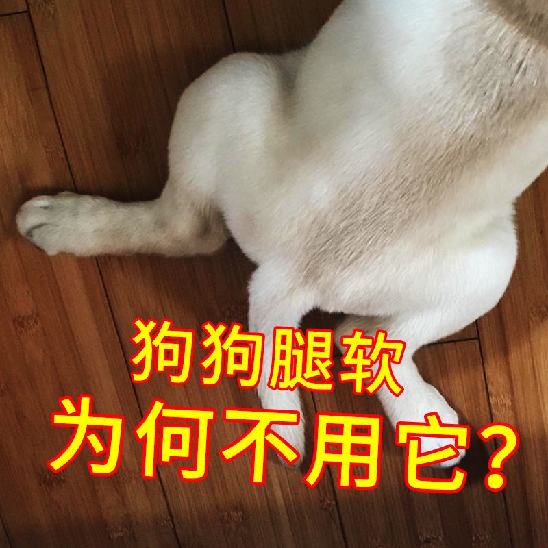 dog calcium Covert, young bone strengthening a Tablets Puppies Health