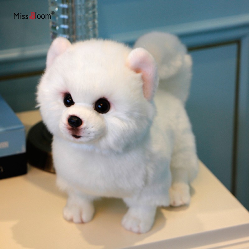 Teacup pomeranian 2024 stuffed animal