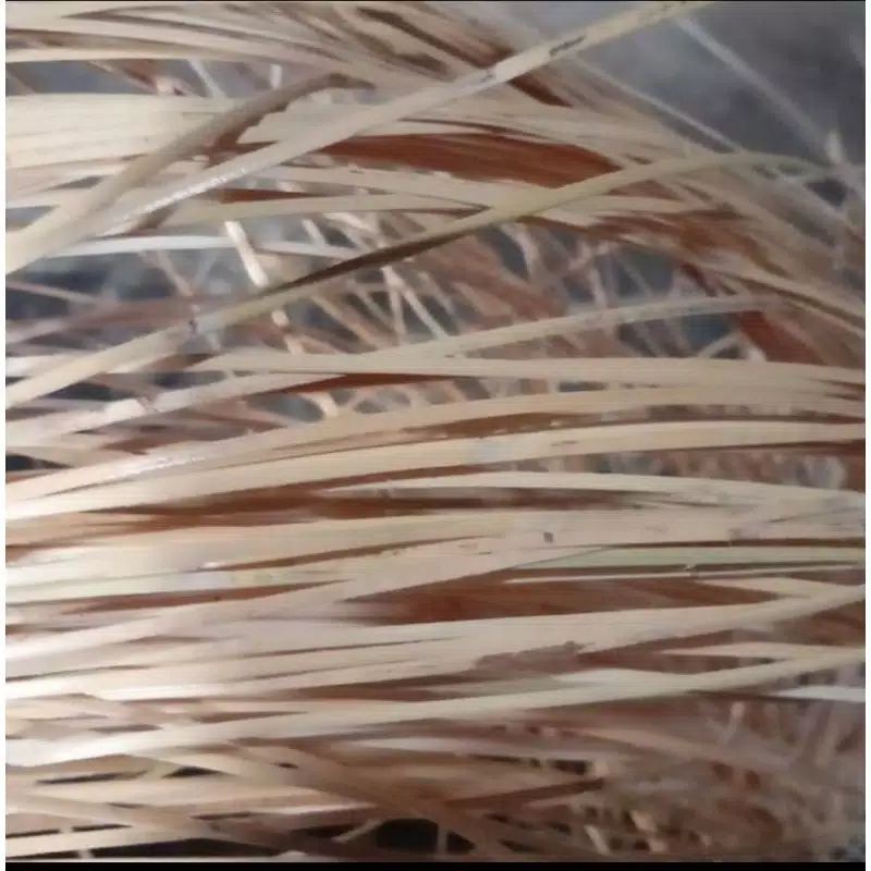 Lesio Rattan Rope 2mm | Shopee Philippines