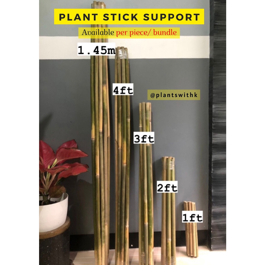 1PIECE‼️ Plant Support Stick, Plant Stake, Plant Base, Bamboo fence