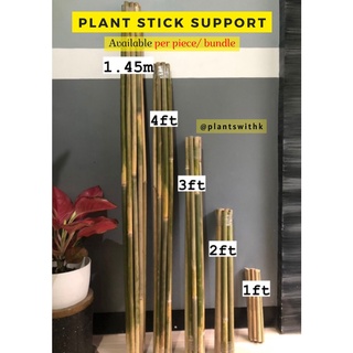 Bendable Moss Pole, 45 Coir Pole For Climbing Plants,diy Shapes Coir Moss  Pole,plant Stakes Support For Monstera, Pothos And More Indoor/outdoor Pla