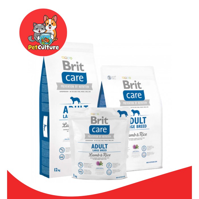 Brit care adult large breed sales lamb rice