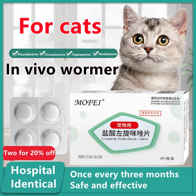 dings Mofei Cat Internal Wormer Diarrhoea Abdominal Pain Vomiting