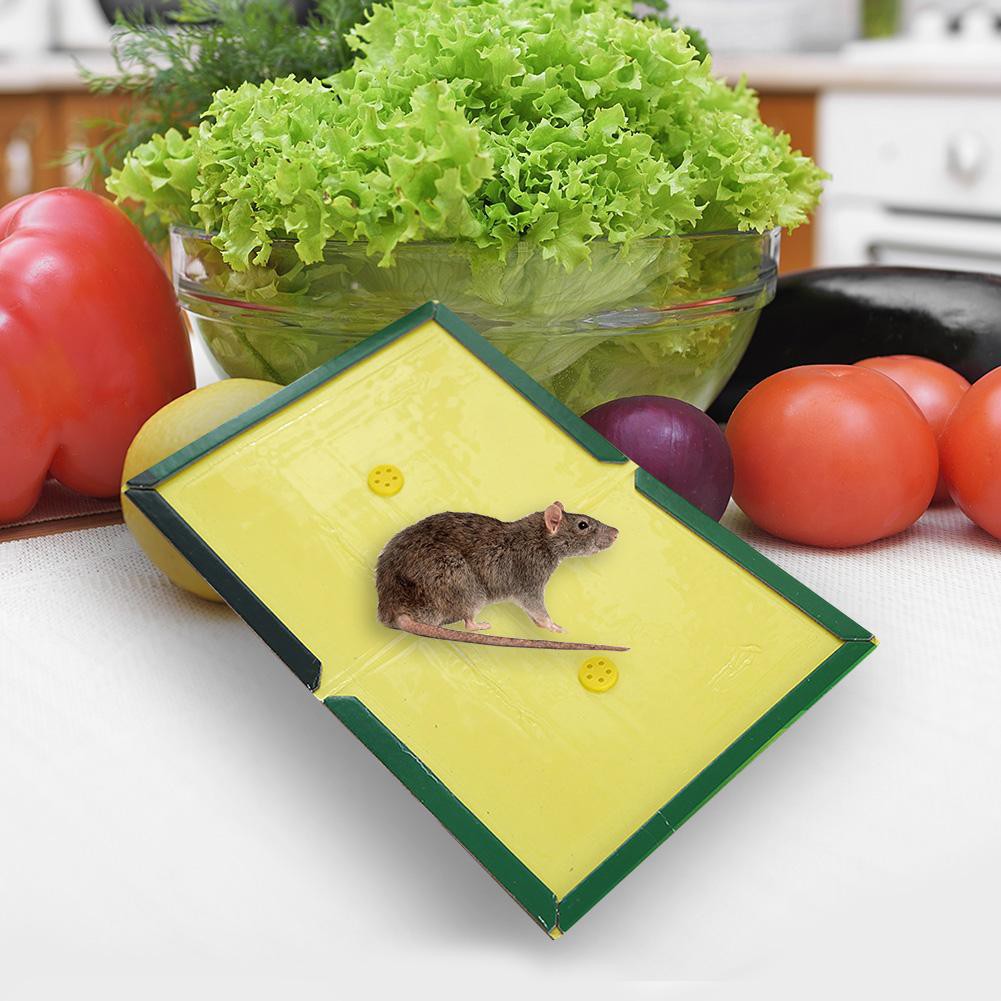 Sticky pads online for mice